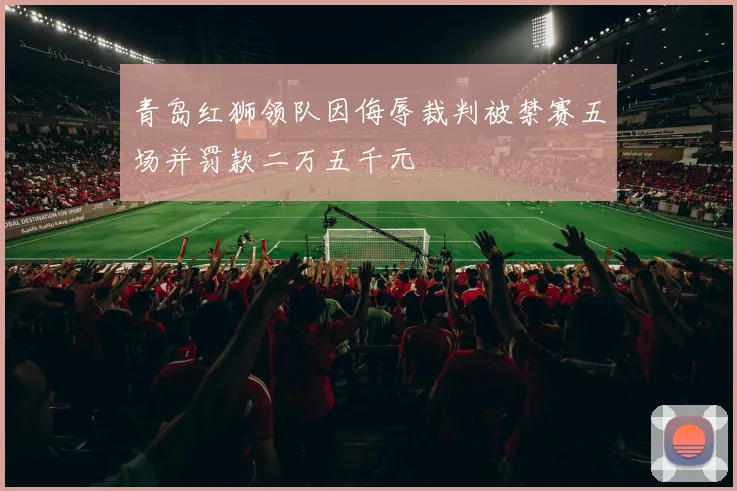 青岛红狮领队因侮辱裁判被禁赛五场并罚款二万五千元