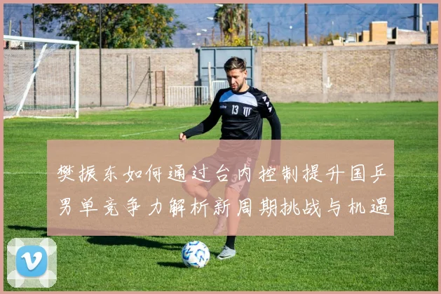 樊振东如何通过台内控制提升国乒男单竞争力解析新周期挑战与机遇